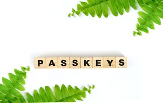 Passkeys erklärt